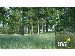 Property photo 25 - Land Auction 458+/- acres in 11 Tracts - Farmland, Woods